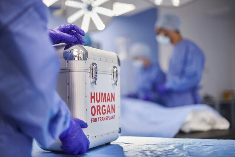 Il 40% di chi rinnova la carta d'identità non sa che potrà dare consenso alla donazione d'organi