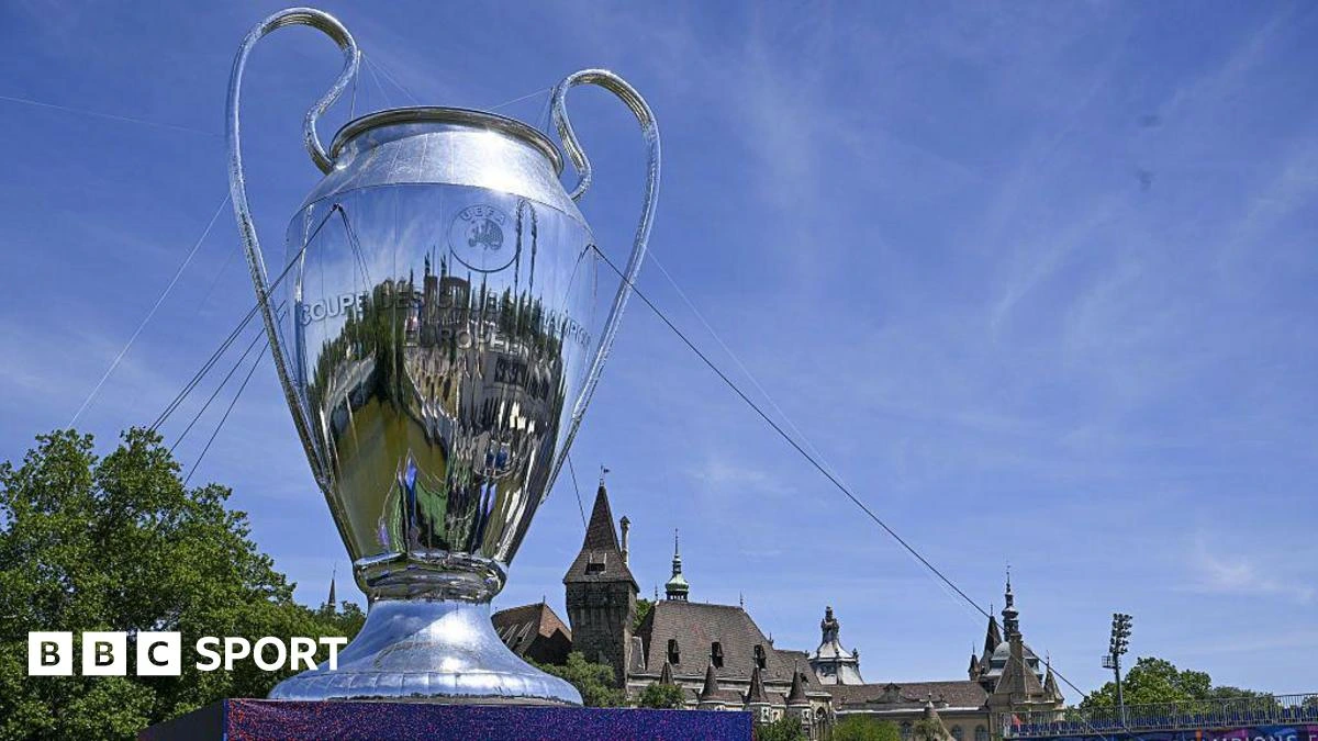 Budapest police investigating fan brawl