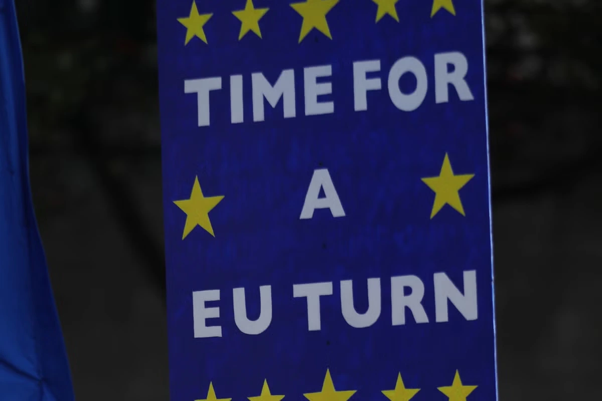 Do voters really want another referendum on rejoining the EU?