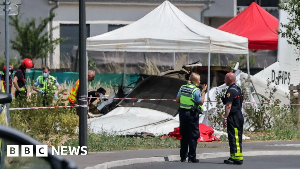 Eleven killed after plane carrying skydivers crashes in eastern France