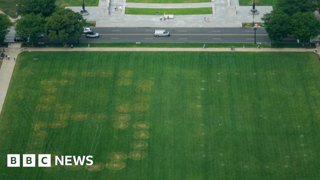 Police investigate '8647' written in grass on US national mall