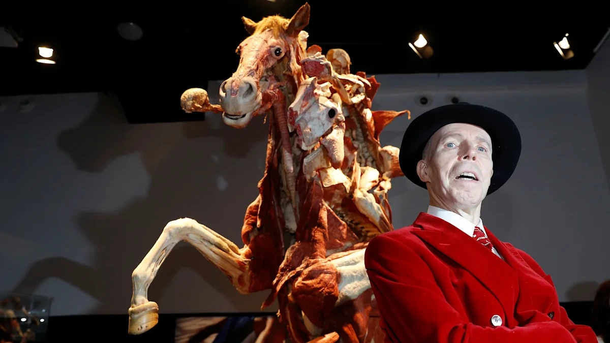Körperwelten-Erfinder tot: Plastinator Gunther von Hagens (81) ist tot