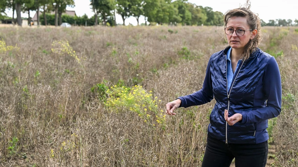 SPD-Ministerin Hanka Mittelstädt: „Wasser ist noch zu günstig“
