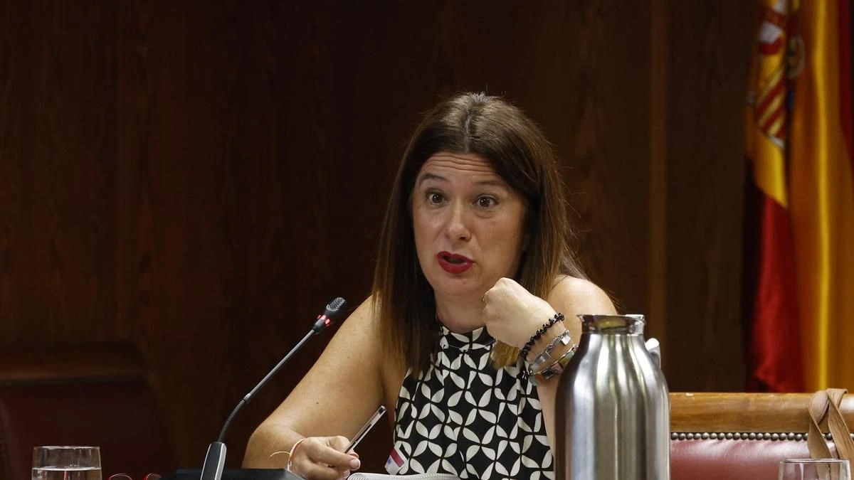 El juez del caso Leire Díez abre una pieza separada para buscar pagos del PSOE hacia la exmilitante