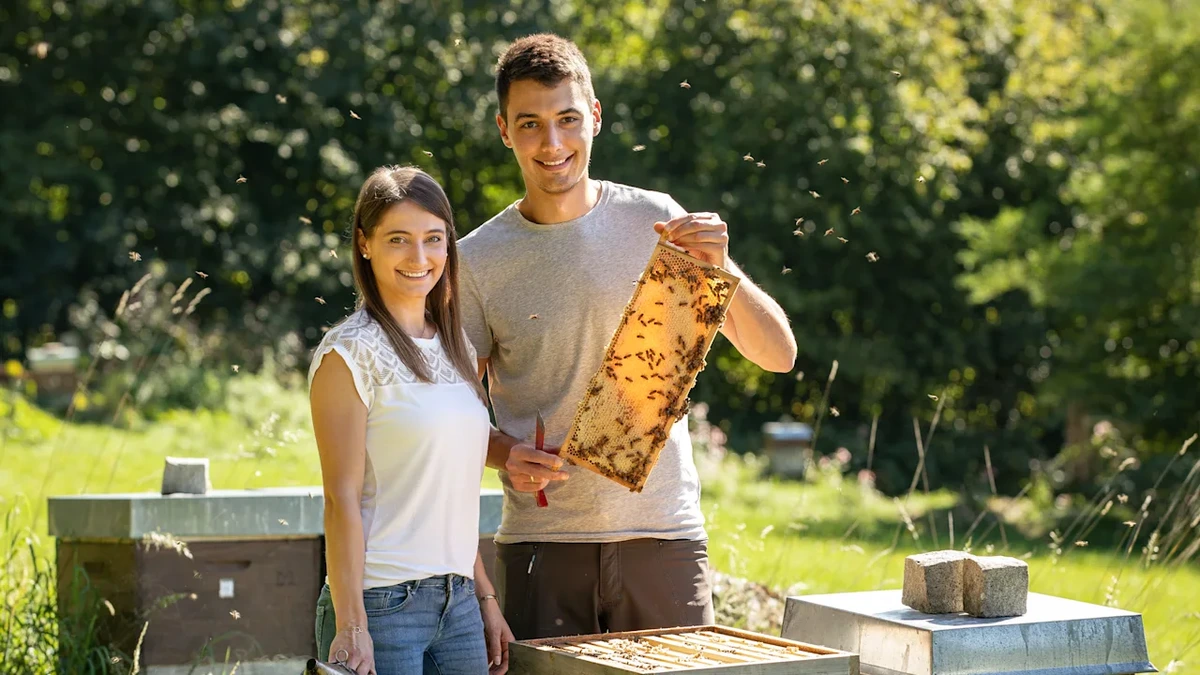 Imker rettet Christus: Um Himmels willen! Bienen schwärmen für Jesus