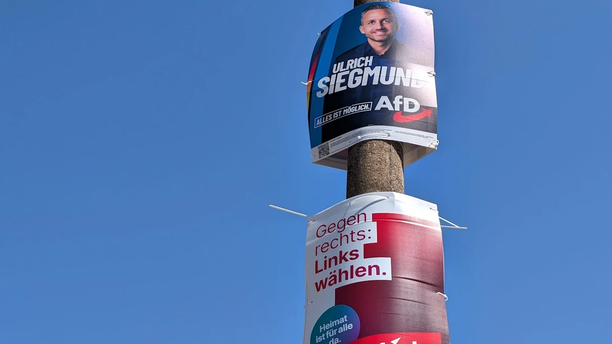 Überraschende Studie: Linke und AfD in jedem zweiten Punkt einig