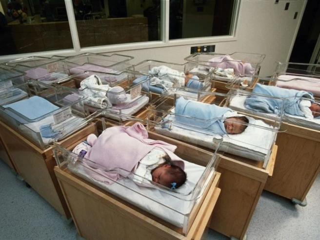 La crisi demografica inizia negli anni 80: per affrontarla servono nidi e buona immigrazione