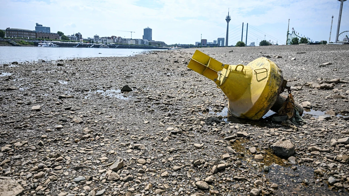 Wetter zu heiß: So rekordverdächtig ist der Sommer jetzt schon