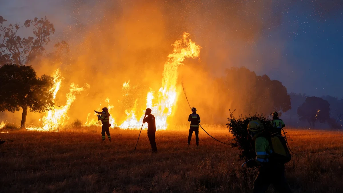Waldbrände in Spanien: Deutsche helfen im Kampf gegen die Flammen