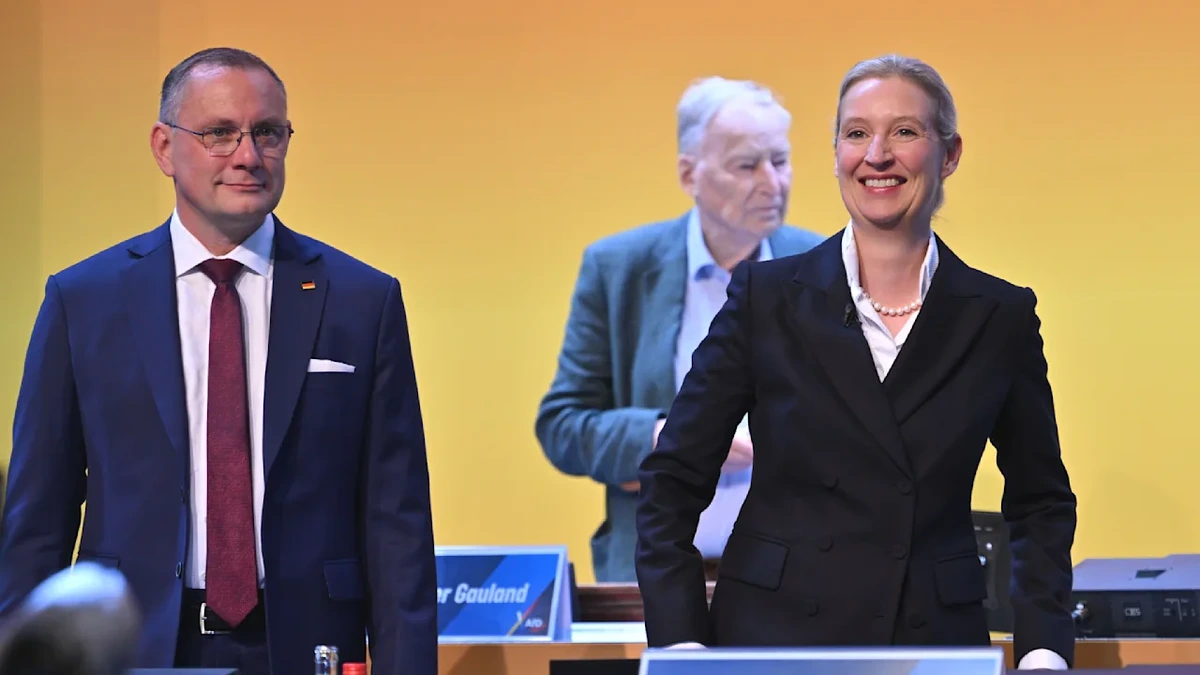 AfD-Parteitag in Erfurt: Tritte, Schläge, Steine! Alice Weidel ist da