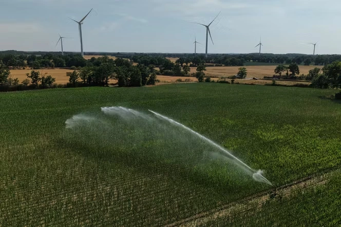 Loi d’urgence agricole : les parlementaires s’accordent en commission mixte paritaire sur ce texte aux mesures contestées concernant l’eau et les pesticides