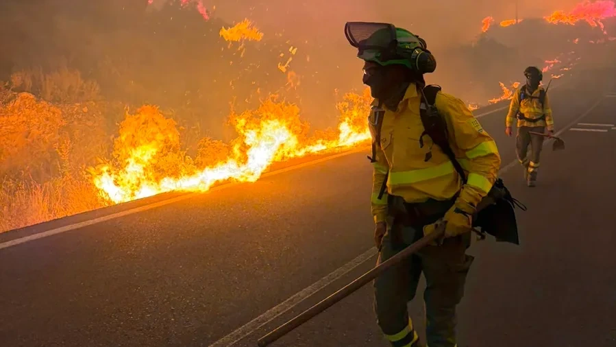 Almería in Spanien: 12 Tote bei Waldbrand in Urlaubsregion