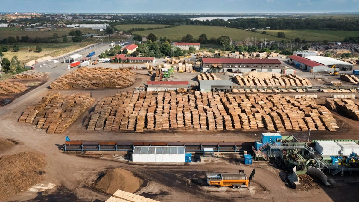 Deutscher Holz-Riese baut Hunderte Jobs ab