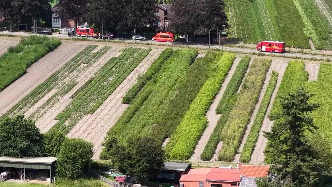 Großeinsatz bei Pinneberg: Suche nach hochgefährlicher Giftschlange