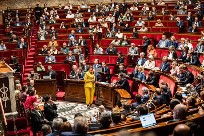 Le projet de loi d’urgence agricole adopté dans la cacophonie par une Assemblée nationale fracturée sur les pesticides