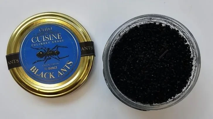 Sterne-Gastronom servierte Ameisen auf dem Dessert, jetzt droht Haft