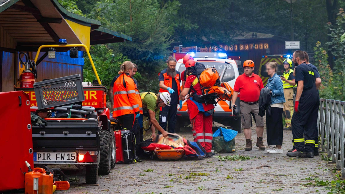 Sächsische Schweiz: Mann (28) bei Unwetter von Baum erschlagen