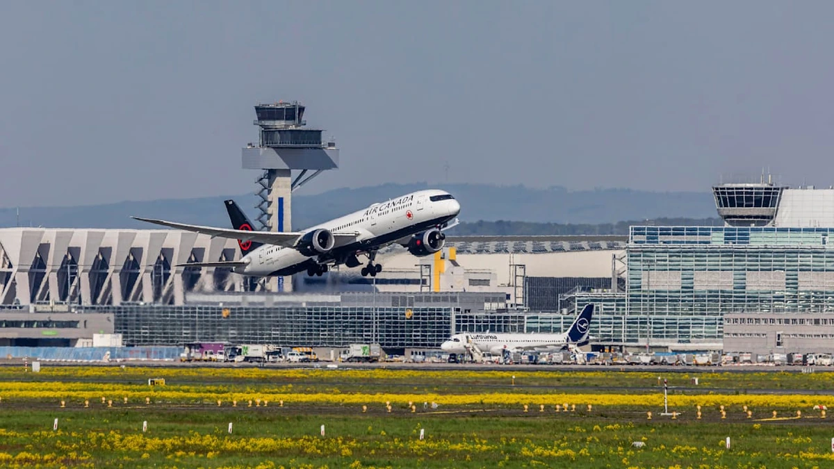Sie kam mit dem Flieger: Malaria-Alarm! Mücke sticht vier Airport-Mitarbeiter