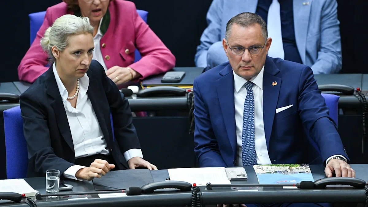 AfD in NRW zerlegt sich: Weidel und Chrupalla greifen ein