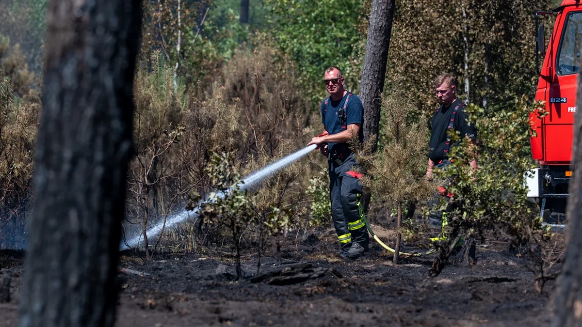 Wetterdienst warnt: Hohe Waldbrandgefahr jetzt auch in Deutschland!
