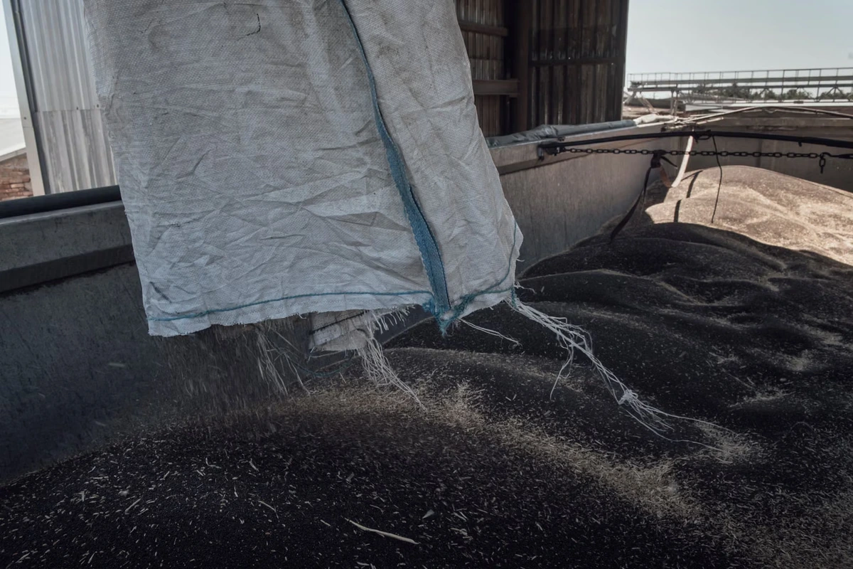 Le calvaire des agriculteurs ukrainiens, entre céréales bloquées et fermes bombardées : « Ils frappent délibérément nos silos, nos hangars, ils visent les fermiers »