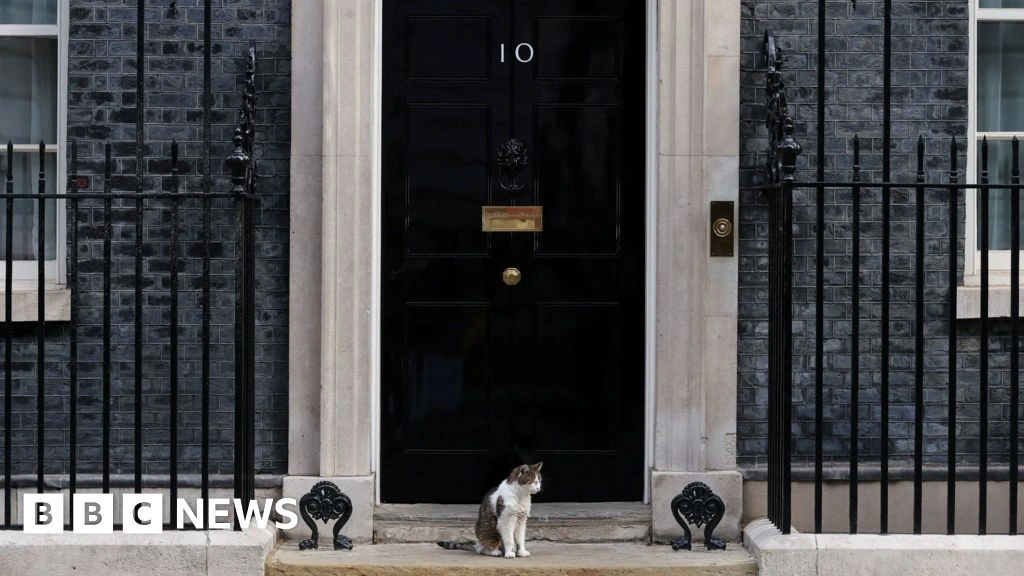 Fake 10 Downing Street listing exposes 'unfit' Booking.com, says consumer group