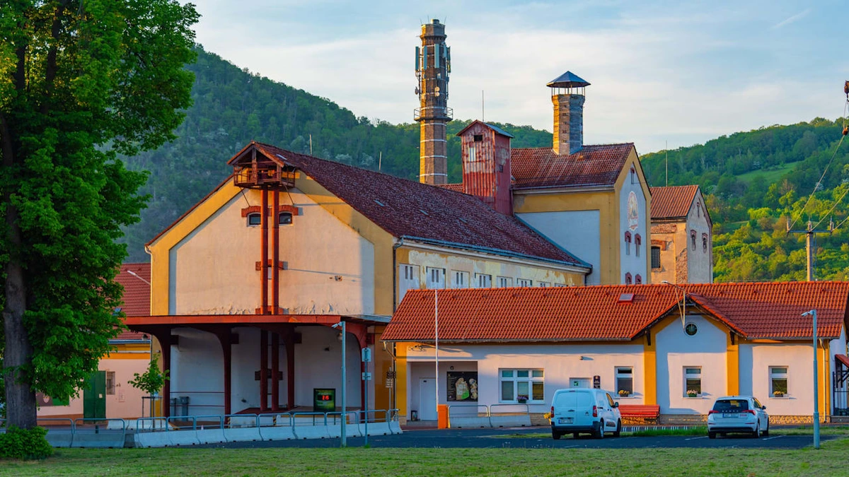 Brauerei macht nach 270 Jahren dicht: Bier auch in Deutschland beliebt