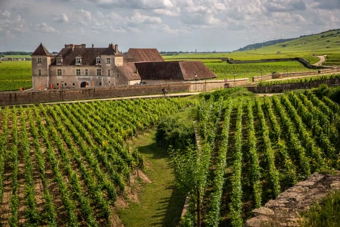Œnotourisme : de la montgolfière à l’escape game, le vignoble français multiplie les « expériences »