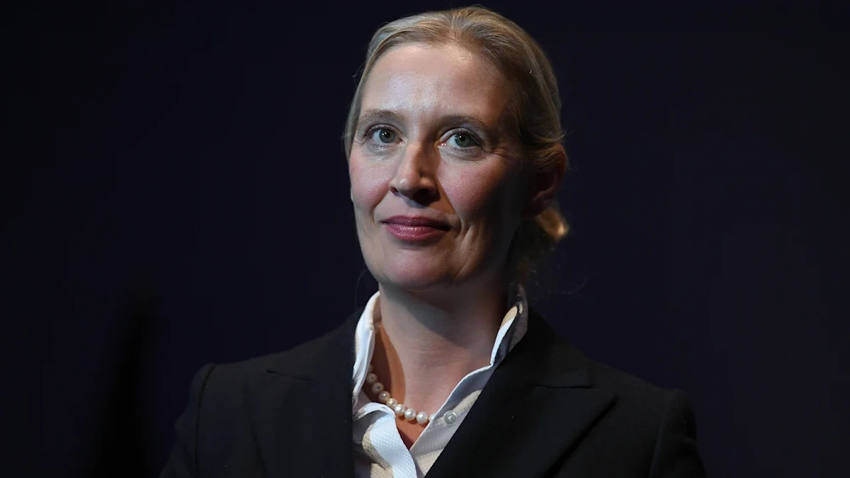 Geleakte Mails: Log Alice Weidel bei illegaler Parteispende für AfD?
