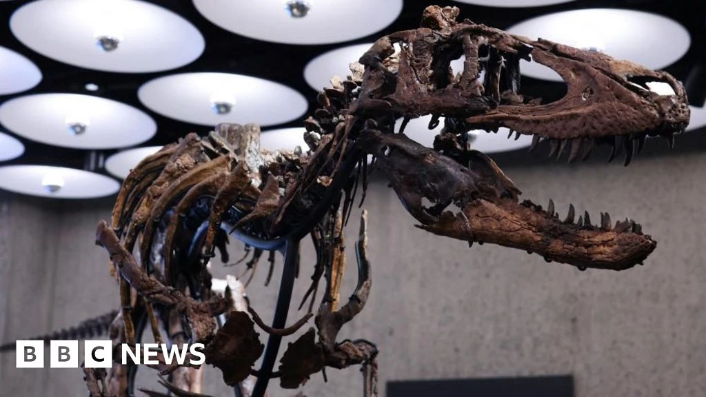 Nanotyrannus skeleton goes to auction in New York with £4.5m price tag