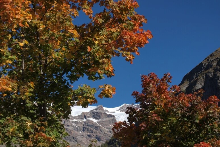 Escursioni nel foliage di boschi e laghi